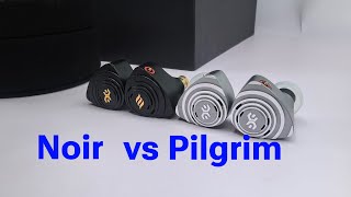 Elysian Pilgrim Noir vs Pilgrim OG  Review amp Comparison [upl. by Heyman389]