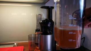 Panasonic MJL500 Slow Juicer Entsafter Review [upl. by Doner]