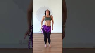 Shakira  Whenever Wherever  Beginners Belly Dance Choreography [upl. by Ninerb290]