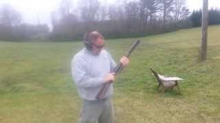 Shooting the Stoeger Double Barrel 12 gauge with 3 inch shells [upl. by Nahtnaoj942]