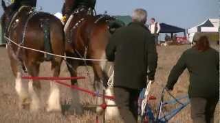 Horses Ploughing at the Memorial Ploughing Match 2012 [upl. by Reddin]