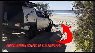 AMAZING K’GARI FRASER ISLAND ADVENTURE CRYSTAL CLEAR WATER AND WHITE BEACHES [upl. by Nirej]