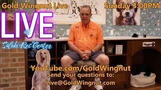 Gold Wingnut Live 32 9152024 300 PM [upl. by Fusuy402]