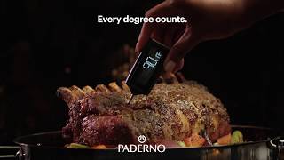 PADERNO Instantread thermometer EN [upl. by Wittie]