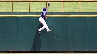 Greatest Catches in MLB History [upl. by Eylsel]