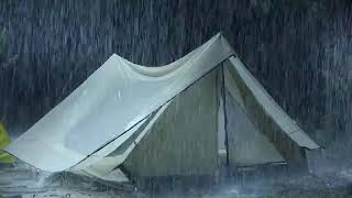 99 Instantly Deep Sleep with Thunderstorm Sounds  Natural Heavy Rain on Tent amp Powerful Thunder [upl. by Atil698]