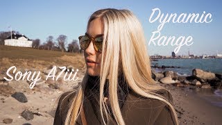 Sony A7iii Dynamic range Test  Cinematic 4K [upl. by Eelydnarb]