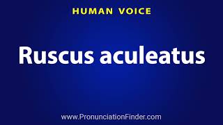 How To Pronounce Ruscus aculeatus [upl. by Nikral]