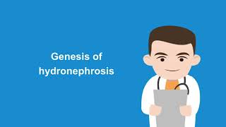 How to diagnose hydronephrosis with the help of ultrasound [upl. by Anjela]