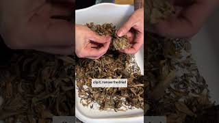 How to Easily Save Zinnia Seeds It’s so Easy homegrowngardens garden flowers [upl. by Laks838]