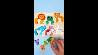 Baby Animals Names amp Facts For Toddlers kidslearning [upl. by Eglanteen]