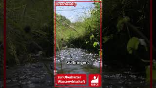 Branchentrip zur Oberharzer Wasserwirtschaft [upl. by Adnowal]