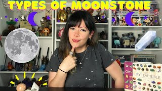 TYPES OF MOONSTONE  Crystals for beginners 🔮 [upl. by Anilegna578]