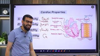 CVS 2 Excitability  Part 1 Fast response AP [upl. by Seafowl]