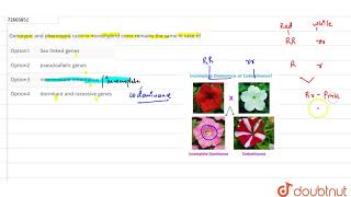 Genotypic and phenotypic ratio in monohybrid cross remains the same in case of [upl. by Ixel710]