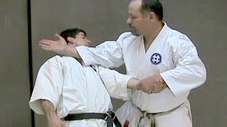 One Minute Bunkai Seisan Bunkai Series Part 4 [upl. by Esyli]