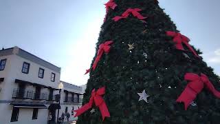 Market Street amp Decorations at the Cape Fear River  Wilmington NC [upl. by Kiernan481]