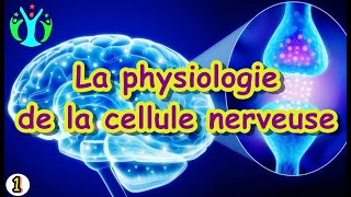 physiologie de la cellule nerveuse physiologie animale S4 [upl. by Aynos706]