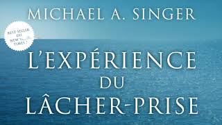 Lexpérience du Lâcherprise Mon immersion dans la perfection de la vie Michael Singer Livre audio [upl. by Johppa]