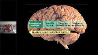 Evaluación neuropsicológica infantil CUMANIN2 [upl. by Nyledam721]