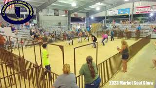 Clermont County Market Goat Show [upl. by Aciruam]