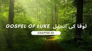 LukaKiInjeel ch 20 لوقا کی انجیل Gospel of Luke  Bible urdu main URDU Bible Hindi Bible Luca [upl. by Alyn]