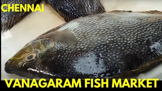 Chennai Vanagaram Fish Market  Part 03 [upl. by Kin693]