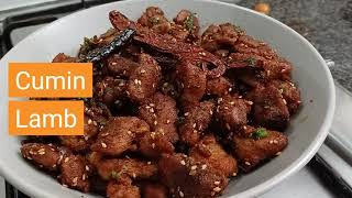 Tasty High Protein Cumin Lamb Recipe [upl. by Faux521]