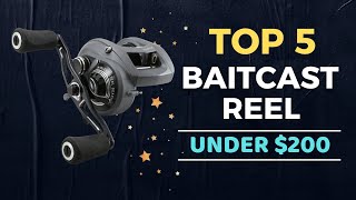 🌟Top 5 Best Baitcasting Reel under 200 Reviews in 2024 [upl. by Aid]