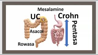 Quelle est la différence entre la RCH et la maladie de Crohn  Le Pentasa la Mésalamine 3 Minutes [upl. by Morganstein]