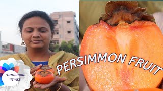 variety fruit plant benefits persimmon fruit పెర్సిమన్ పండును చూసారా [upl. by Iel320]