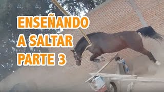 Entrenador de Caballos  Salto  Parte 3 [upl. by Allwein]