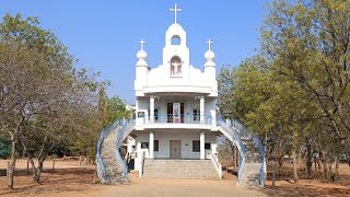 1642024 KADAPA  RAMAPURAM MOTHER Marys eyes shed tears StPADREPIO CHURCH [upl. by Anuahs410]