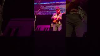 Jake Shimabukuro gently weepsukuleleviralrockgeorgeharrisonmusicjapanhawaiishortsfypusafy [upl. by Ldnek]