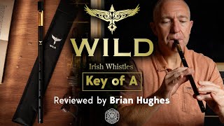 McNeela Wild Irish Whistle A reviewed by Brian Hughes [upl. by Anett126]