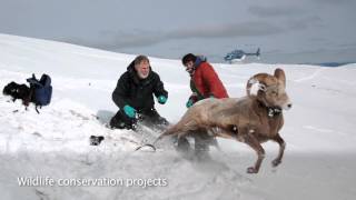 Creating a New Generation of Fish amp Wildlife Biologists  Introduction [upl. by Damian]