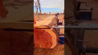 chainsaw milling stihl ms660 clone 2 stroke life eastern red cedar [upl. by Eelessej]