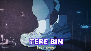 Tere Bin ll Atif Aslam ll lofi song [upl. by Hcardahs]