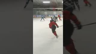 Game Highlights 2425 Vs Bristol WNIHL [upl. by Helali]