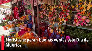 Floristas de Saltillo esperan buenas ventas este Día de Muertos [upl. by Kerrie]