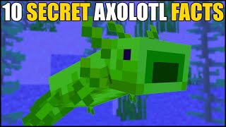 Minecraft  10 Secret Axolotl Facts [upl. by Tehcac]