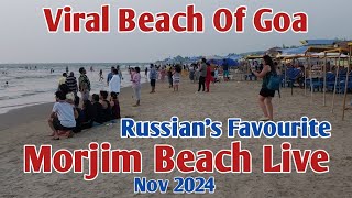 Goa  Morjim Beach  Russians Favourite  Complete Information Shacks Nightlife whether Crowd [upl. by Patrice]