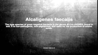 Medical vocabulary What does Alcaligenes faecalis mean [upl. by Aicre]