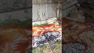 Tambal sa gutom😋 crispylechon pig farming [upl. by Ylrad753]