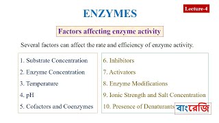 Which Factors affecting enzyme activity [upl. by Saw]