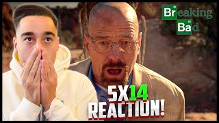 Breaking Bad 5x14 Ozymandias Reaction First Time Watching [upl. by Vaios]