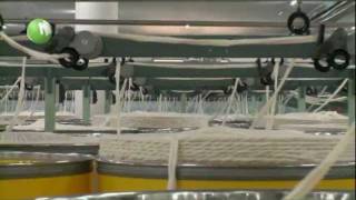 Global Organic Textile Standard GOTS [upl. by Arihaj]