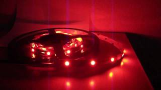 Learn what 5050 RGB LED Lights are [upl. by Zalea]