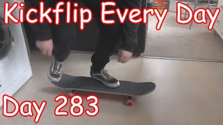 Kickflip Every Day  Day 283 [upl. by Trebleht855]