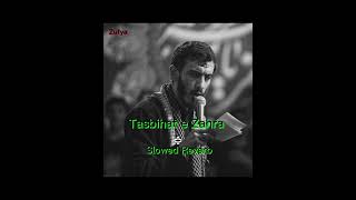 Tasbihat e Zahra Slowed Reverb nasheed noha viralvideo Zufyareverb sad sades fyp [upl. by Isle]